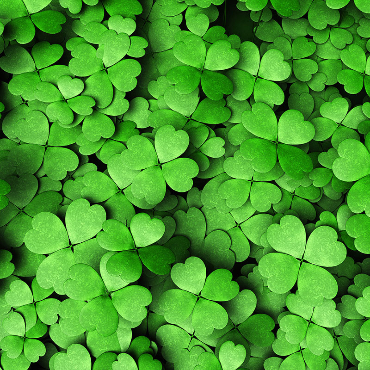 Nicht das passende dabei? PERMALUX Nicht das passende dabei? PERMALUX